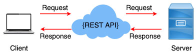 Client and server communicating via a REST API
