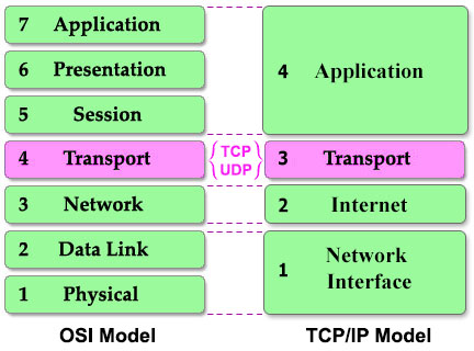 TCP is connection-oriented and reliable; UDP is connectionless and fast